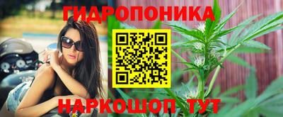 apvp Ирбит