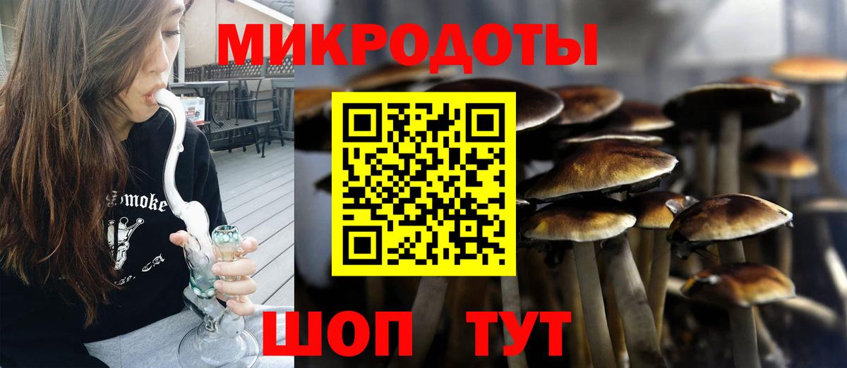 Черняховск  Галлюциногенные грибы прущие грибы  Псилоцибиновые грибы Psilocybe  Вход с VPN 